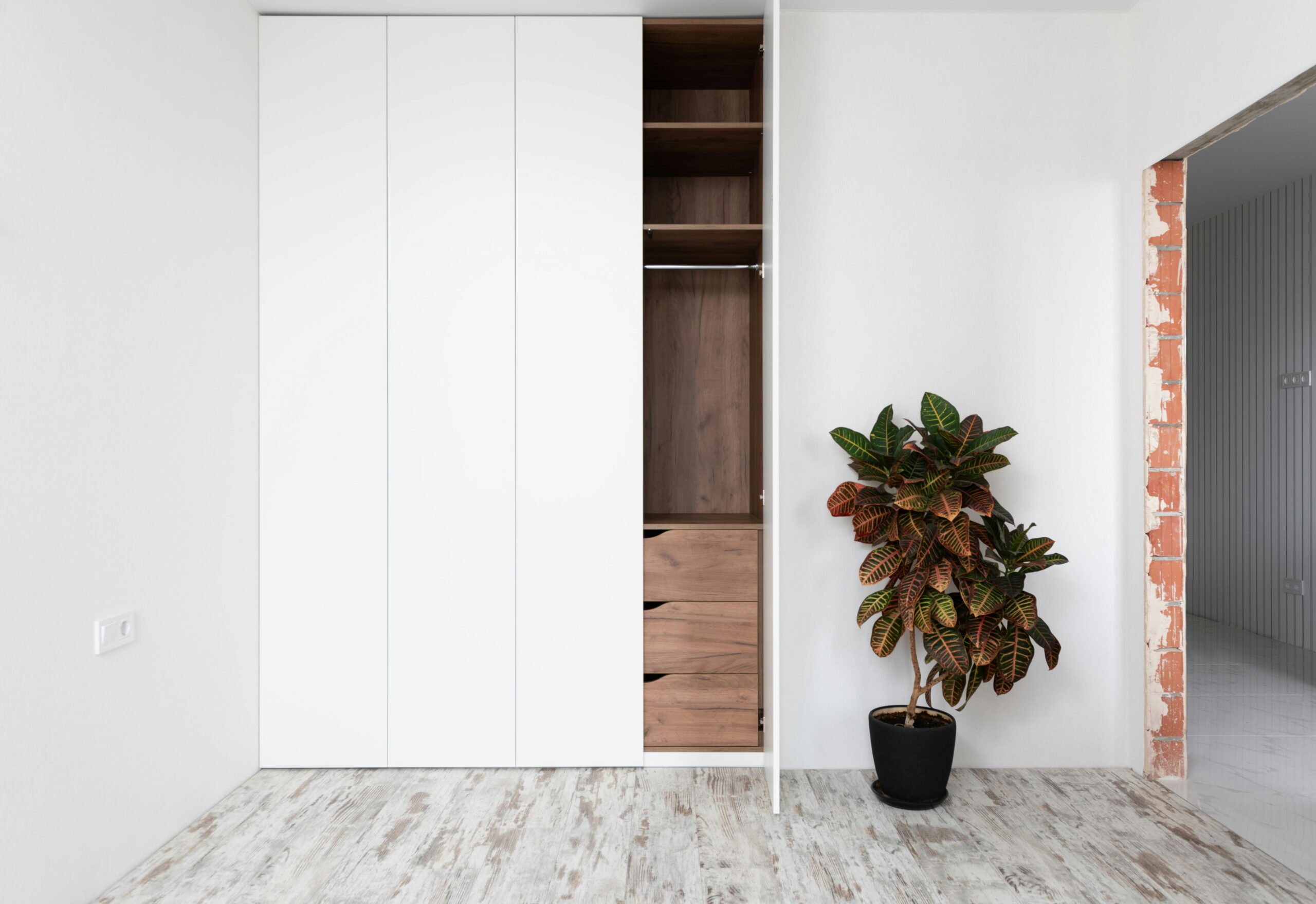 Minimalist white wardrobe with opened door in spacious hallway decorated with potted Codiaeum variegatum plant